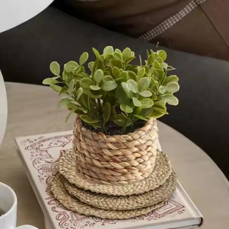 Home Office Layout - 1Pc Potplant Kleine Nepplanten Indoor Home