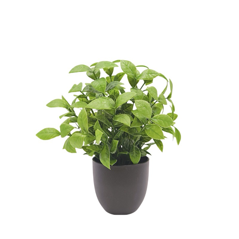 Simulatie Groene Plant Bonsai  - Home Office Layout recensie en prijs