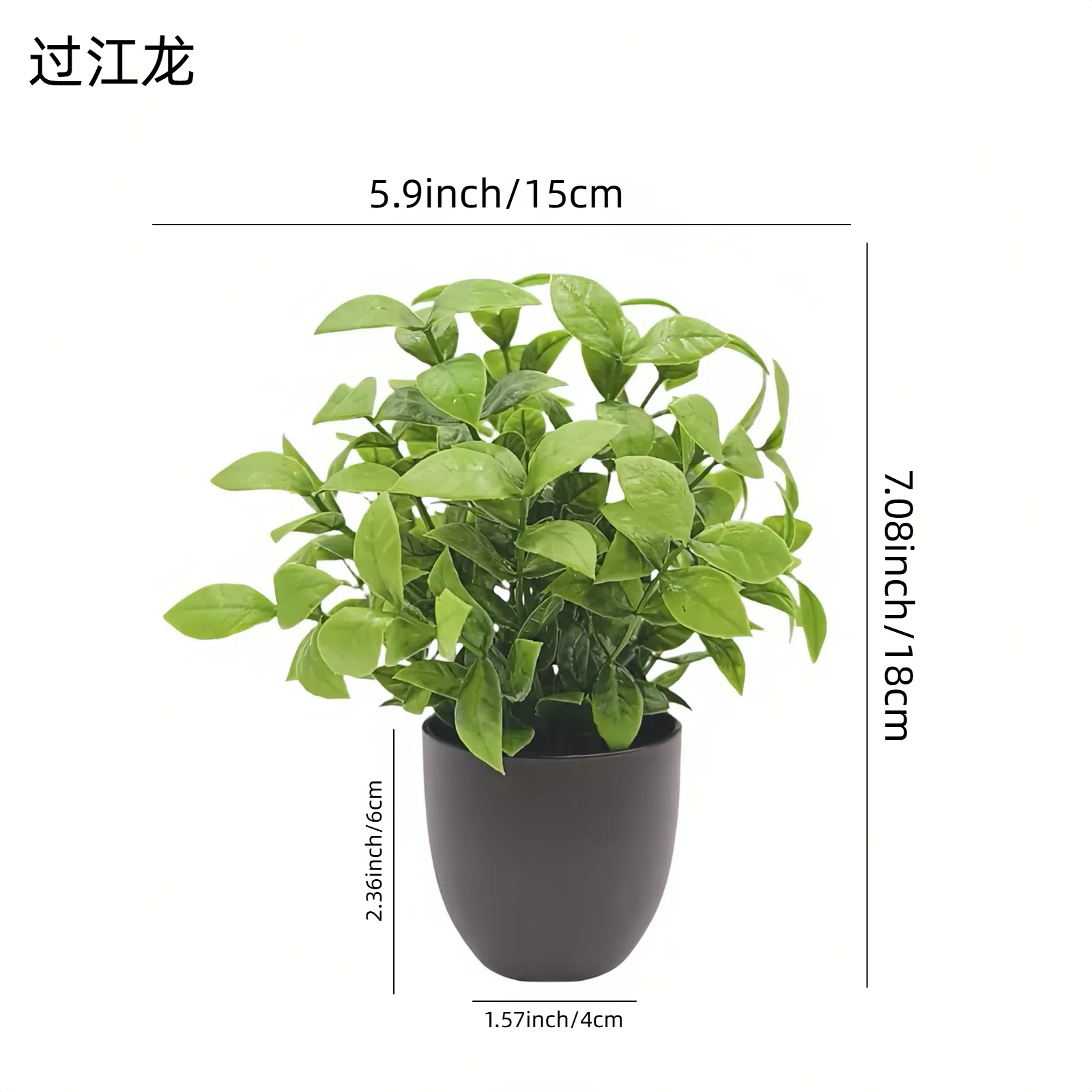 Simulatie Groene Plant Bonsai  - Home Office Layout recensie en prijs